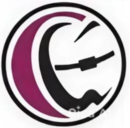 Logo 20
